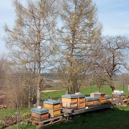 Bienenbeute Apartment